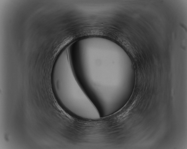 X0000097600625200802290733