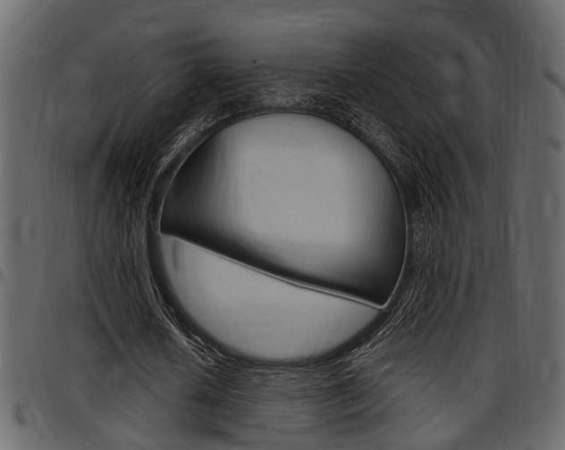 X0000097600626200802290733