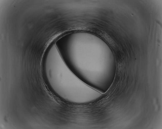 X0000097600628200802290733