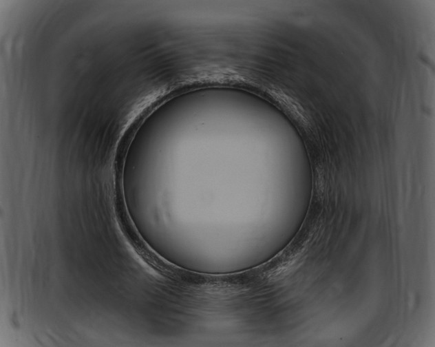 X0000097600630200802290733