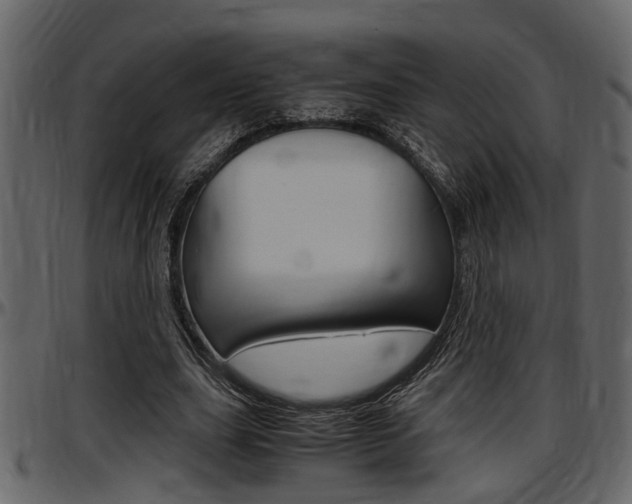 X0000097600631200802290733