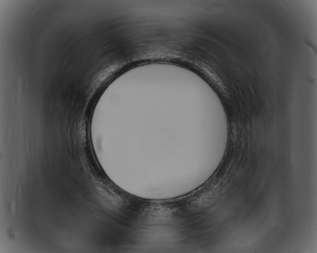 X0000097600632200802290733
