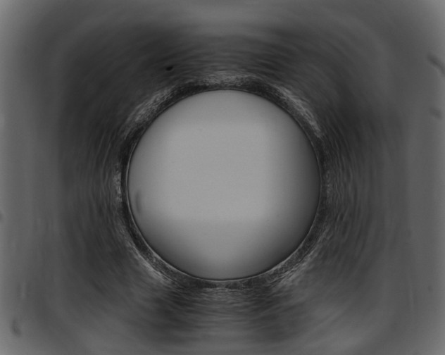 X0000097600633200802290733