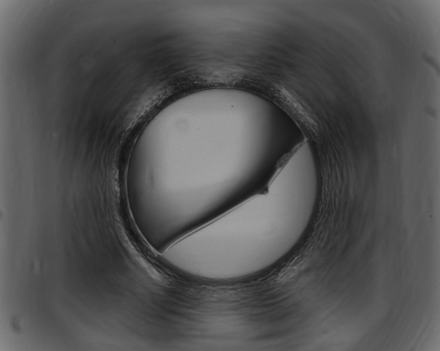 X0000097600634200802290733