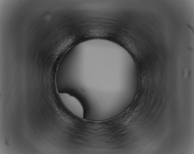 X0000097600635200802290733