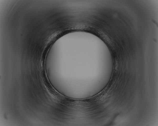 X0000097600636200802290733