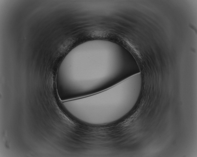 X0000097600637200802290733