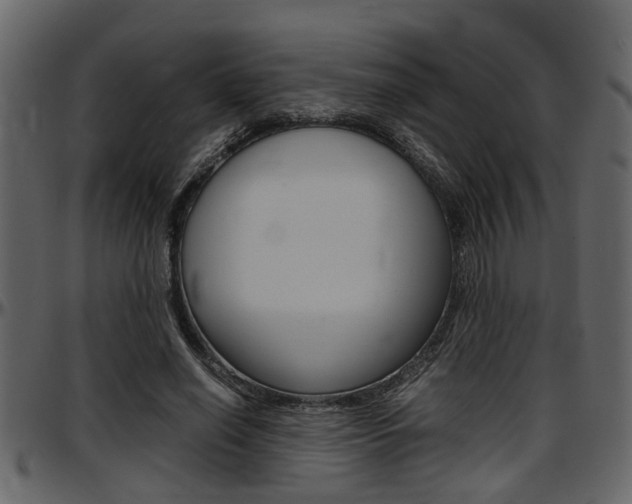 X0000097600638200802290733