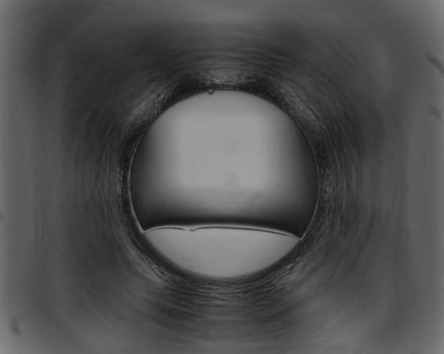 X0000097600639200802290733