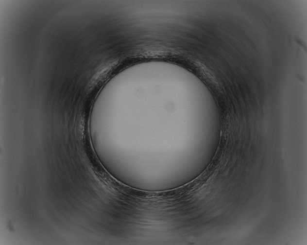 X0000097600640200802290733