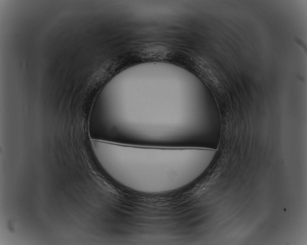 X0000097600641200802290733