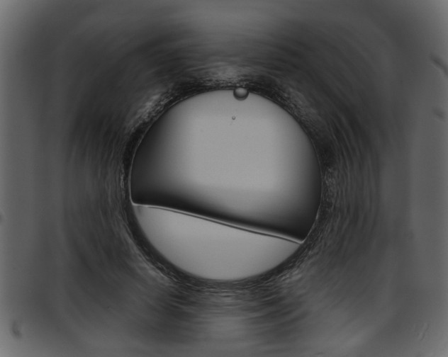 X0000097600642200802290733