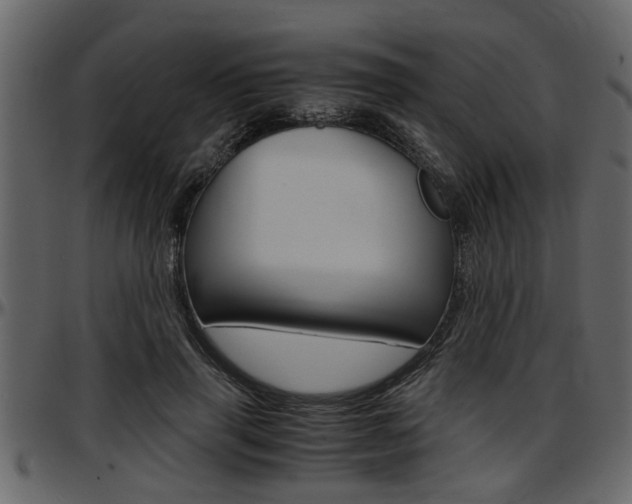 X0000097600645200802290733