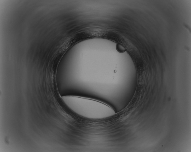 X0000097600646200802290733