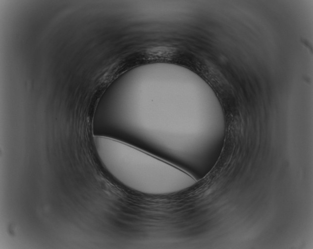 X0000097600649200802290733