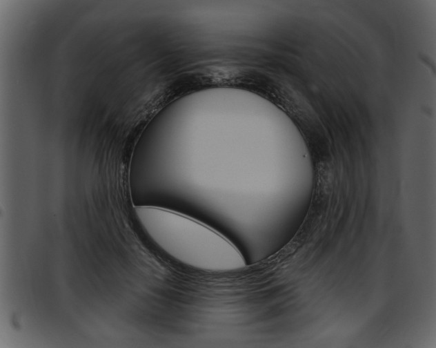 X0000097600650200802290733