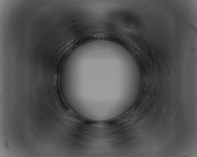 X0000097600652200802290733