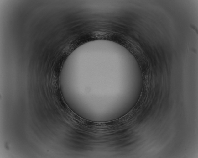 X0000097600653200802290733