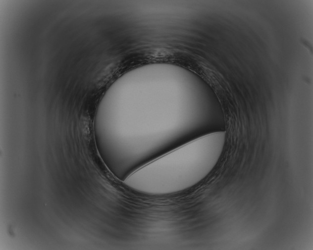 X0000097600654200802290733