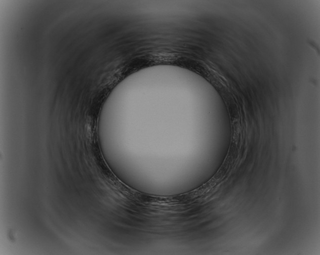 X0000097600655200802290733
