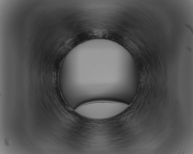 X0000097600656200802290733
