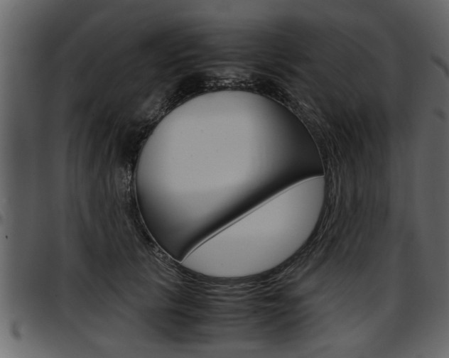 X0000097600657200802290733