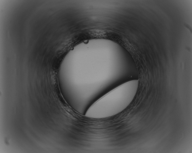 X0000097600658200802290733