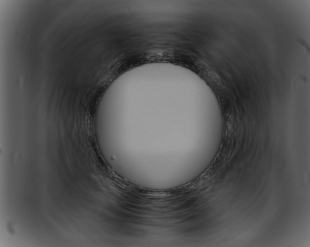 X0000097600659200802290733