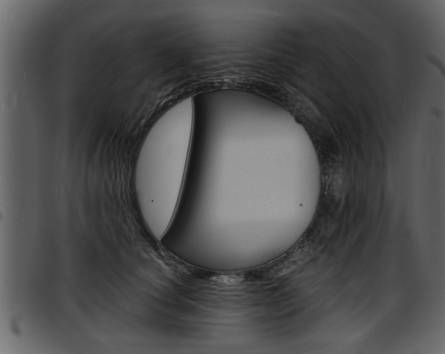 X0000097600660200802290733
