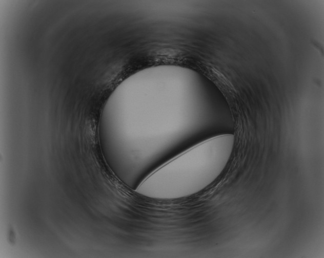 X0000097600661200802290733