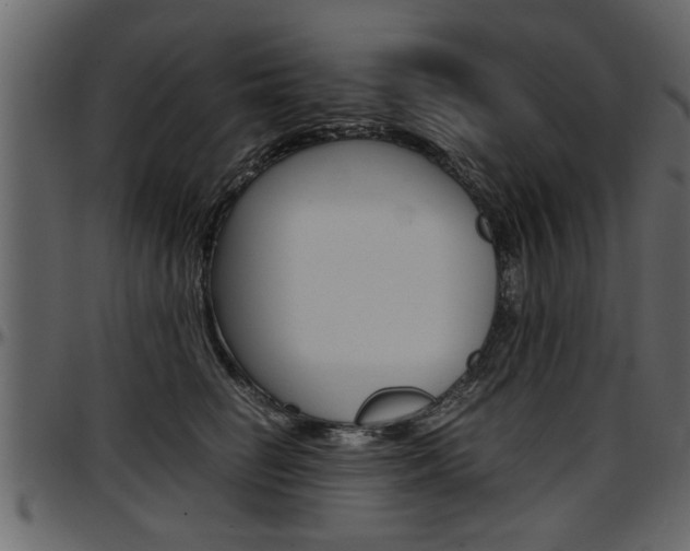 X0000097600662200802290733