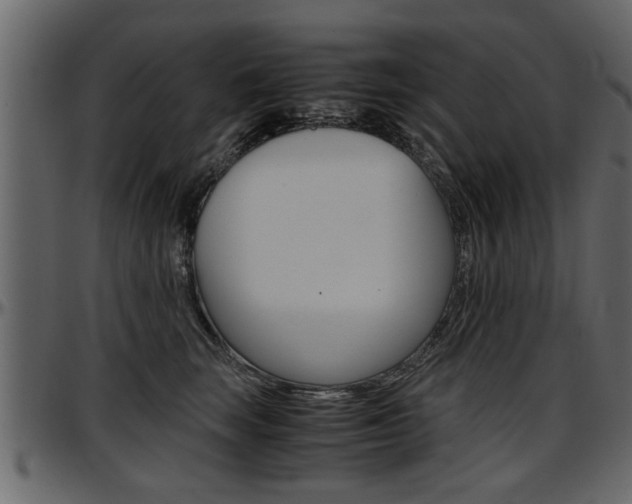 X0000097600663200802290733