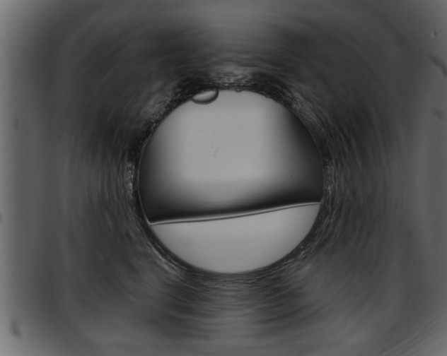 X0000097600664200802290733