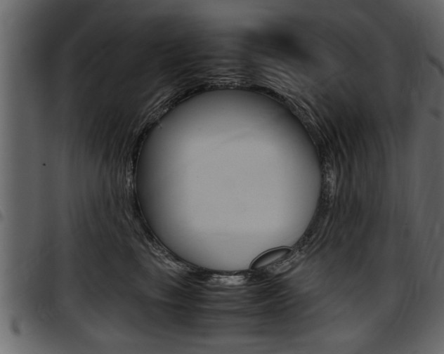 X0000097600665200802290733