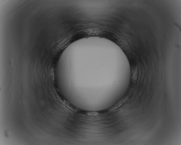 X0000097600666200802290733