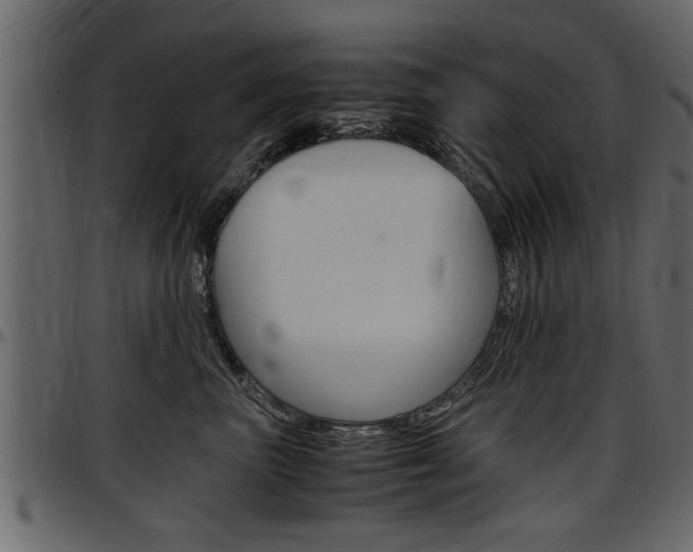 X0000097600667200802290733