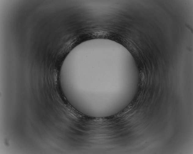 X0000097600668200802290733