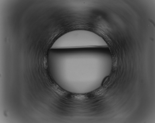X0000097600669200802290733