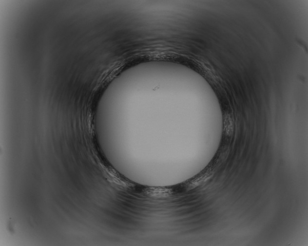 X0000097600670200802290733