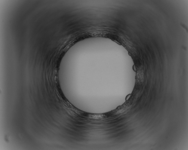 X0000097600671200802290733