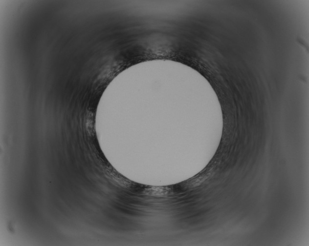 X0000097600672200802290733