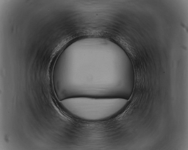 X0000097600674200802290733