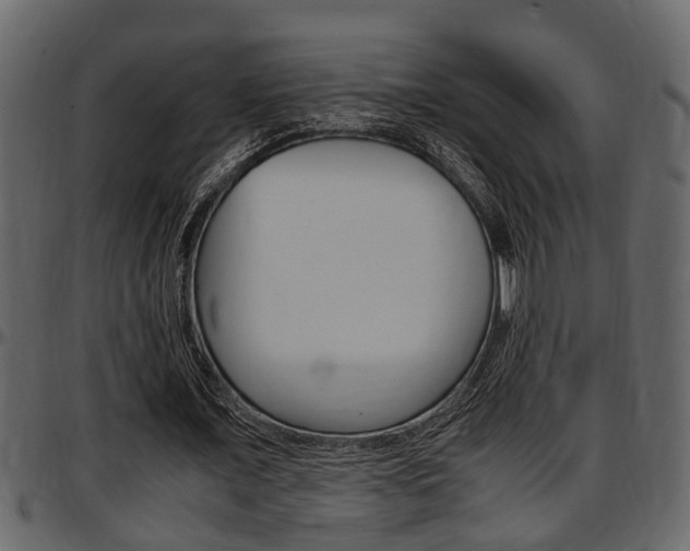 X0000097600675200802290733