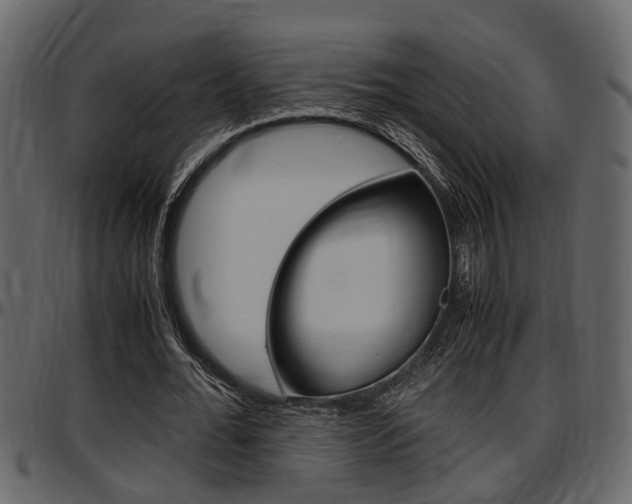 X0000097600676200802290733