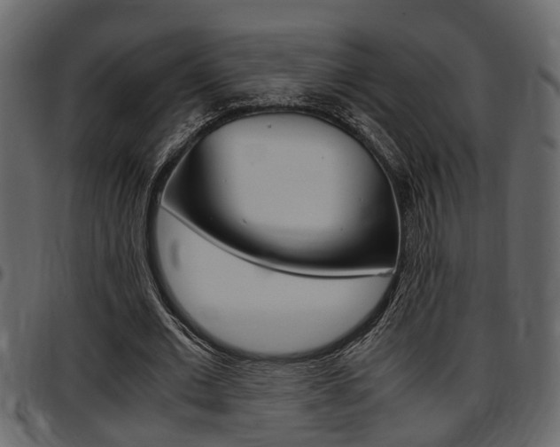 X0000097600677200802290732