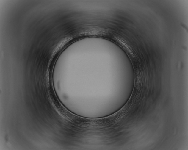 X0000097600678200802290732
