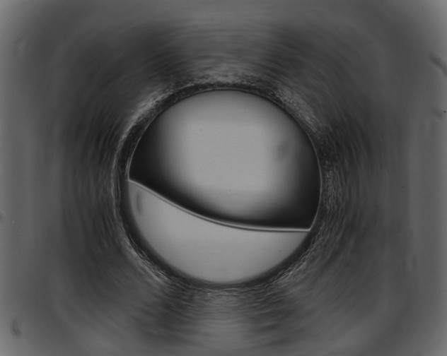 X0000097600680200802290732