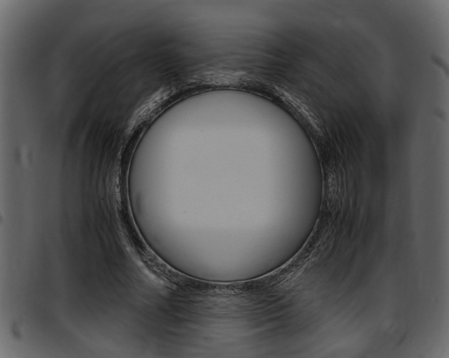 X0000097600682200802290732