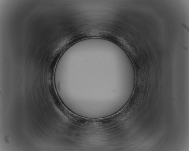 X0000097600683200802290732