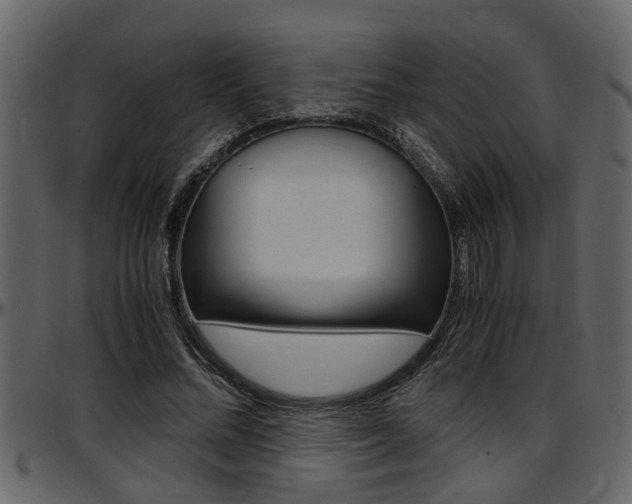 X0000097600684200802290732